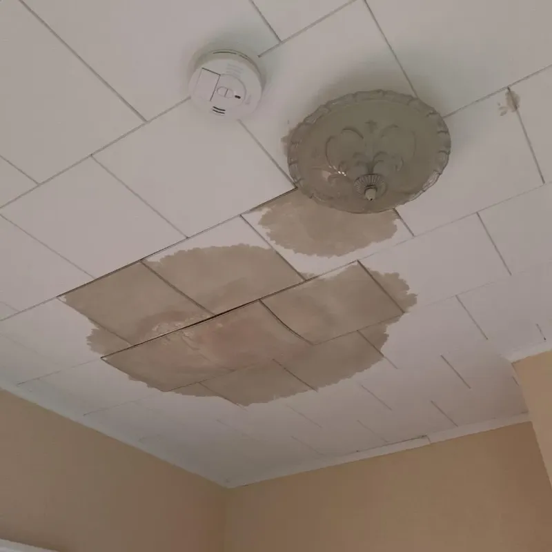 Ceiling Water Damage Repair in Warner, OK